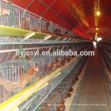 Cage Poulet Cage Poulet / Volaille Farm House Design Chicken Poultry Hangar